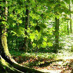 summer hunt - @summer_hunt_ - Instagram