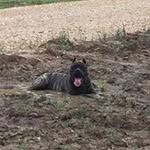 Keith Summerford - @keithsummerford - Instagram