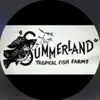 summerland - @summerlandfishfarm - TikTok