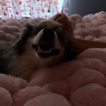 Summer Larson - @summerlarson50 - Instagram