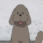 Summer Lively - @makkachinlover - Instagram