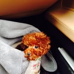 Summer Ｗ - @summerlivelyw - Instagram