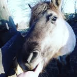 Summer Sammy Lund - @summer.lund.92 - Instagram