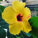 Summer Medina - @photography_af43 - Instagram