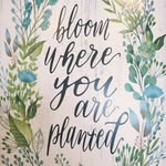 Summer Michaelson - @summer.michaelson - Instagram