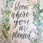 Summer Michaelson - @summer.michaelson - Instagram