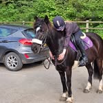 summer mills - @equine_summer_2011 - Instagram