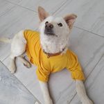 SUMMER - @_summer_nicholas_ - Instagram