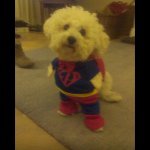 Summer Obrien - @summer_dog - Instagram