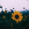 Summer parks - @summerparks183 - TikTok