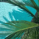 Summerpieces - @summerpeaces - Instagram