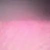 summer phillips - @summer.phillips21 - TikTok