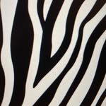Summer Powell | Libra Zebra - @librazebra.vision - Instagram