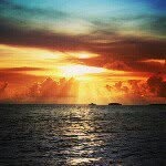 ₩h¥ ₩ait so £ong? - @summer_come_quick - Instagram