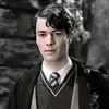 summer riddle - @..draco_malfoy - TikTok