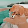 Summer riddle! - @.summer._.riddle - TikTok