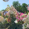 Summer - @summer.robles - TikTok