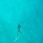 Summer Ross - @summerross95 - Instagram
