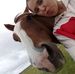 Summer Ruddle - Facebook