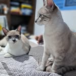 Summer & Simon - @_summer_simon - Instagram
