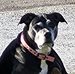 Cindy Simonton Sommer - Facebook