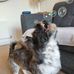 Summer Squires - Facebook