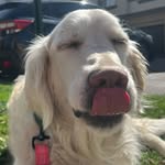 Summer - @summersteinhorst - Instagram