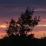 Summer Street - @summerstreetmusic - Instagram