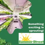 Summer Street Farm - @summer.street.farm - Instagram