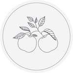 summerstreetgrocers - @summerstreetgrocers - Instagram