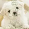 summer sweet - @psba854861 - TikTok