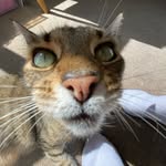Summer - @summer.templeton - Instagram