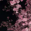 𝐒𝐮𝐦𝐦𝐞𝐫꧂༄❀ - @summerthompson98 - TikTok