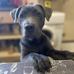 Summer Tucker - Facebook