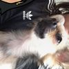 summerxox456 - @summervickers321 - TikTok