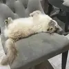 Sum Sum - @summer.wall6 - TikTok
