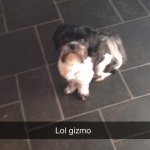 @summerwattsx - Instagram
