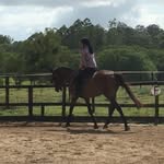 Summer Wells - @equestrian.sum06 - Instagram