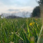summer w. - @summerwiley12 - Instagram