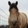 Summer Wiley - @summer.wiley2 - TikTok