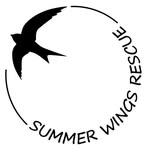 Sarah Sumner - @summerwingsrescue - Instagram