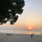 Summer Wing - Facebook
