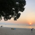 Summer Wing - @summer.wing.739 - Instagram
