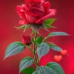 Sumona Gupta - Facebook