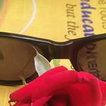 Sumreen Khan - @rahultomar6179 - Instagram