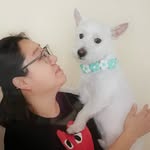 Sun Ahn - @lalasun002 - Instagram