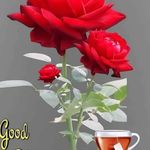 sunheri - @sunheri57 - Instagram