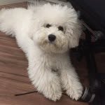 hs - @sunhuhh - Instagram