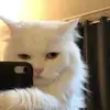 sunjiang - @sunjiang030 - TikTok