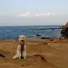Sunlight - @sunlight116688 - TikTok